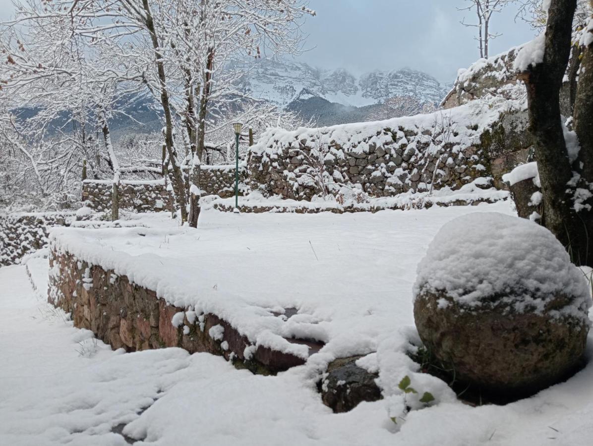 Cal Ferrer Habitatge Rural Villa Cava Exteriör bild
